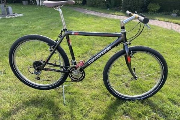 Suche: Alte Mountainbikes 1990er Jahre Cannondale/Giant/Troger/Trek
