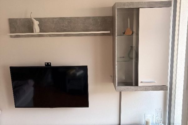 Wohnwand (Preis verhandelbar)