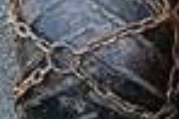 Ketten für Bergwanze