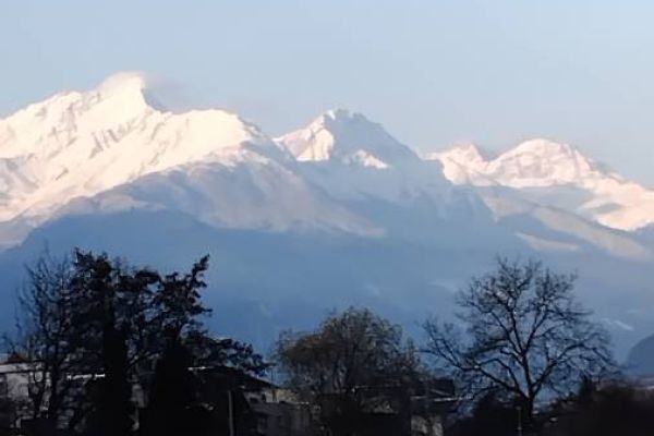 Suche Stelle in Landwirtschaft Raum Meran. ab sofort  Spargelstechen