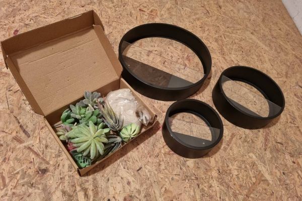 Wanddeko (Vasen mit Pflanzen)