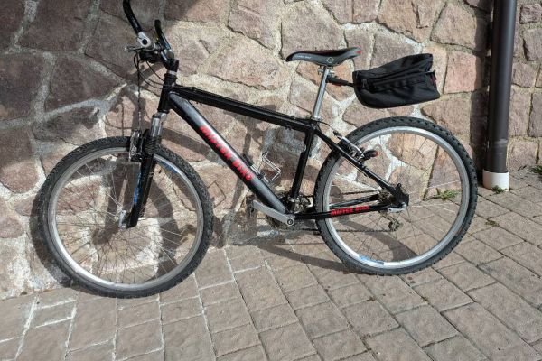 Damen Mountainbike