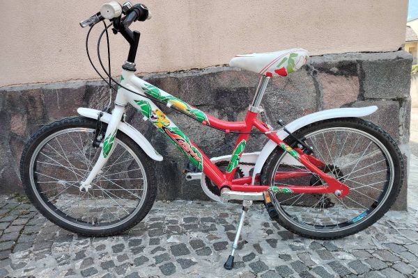 20-Zoll Kinderfahrrad zu verkaufen
