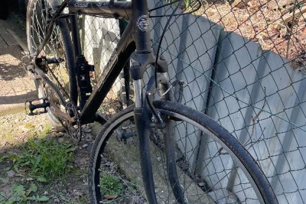 Fahrrad Allround 1x mit City reifen 21 Zoll Bulls c3.5