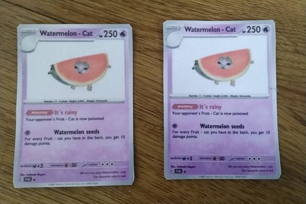 Selbstgemachte Fruitcat Sammelkarte