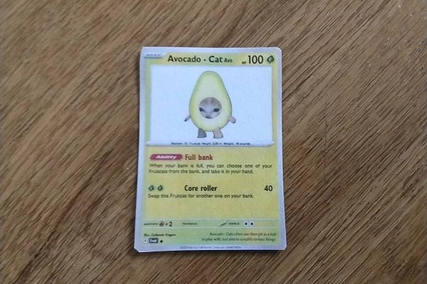 Selbstgemachte Fruitcat Sammelkarte