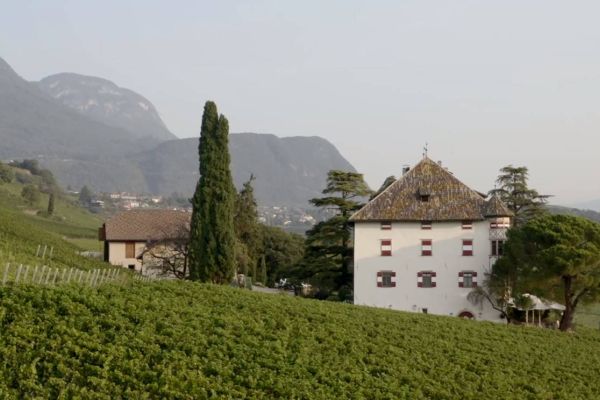 Kellermitarbeiter (m/w/d)