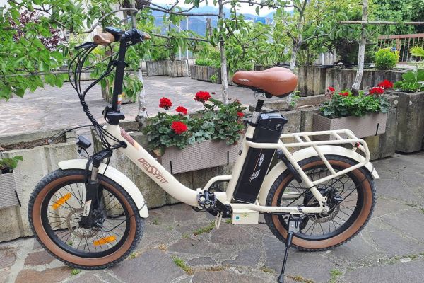 E-Bike 250W OT16-2 E-Bike 20'' 150KG Klappbar
