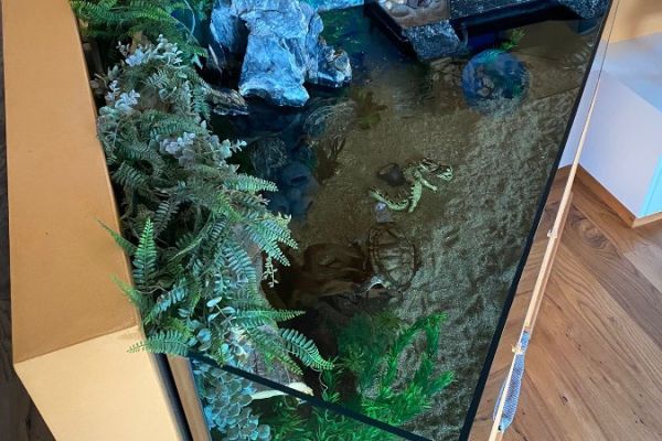 Großes Aquarium mit Technik zu verschenken