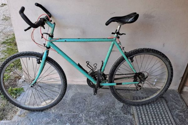 altes mountenbike