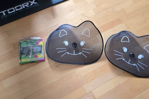 Auto Sonnenschutz für kleine Kinder zu verschenken