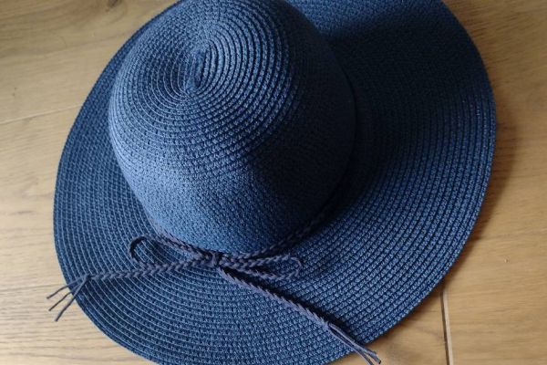 Sonnenhut blau