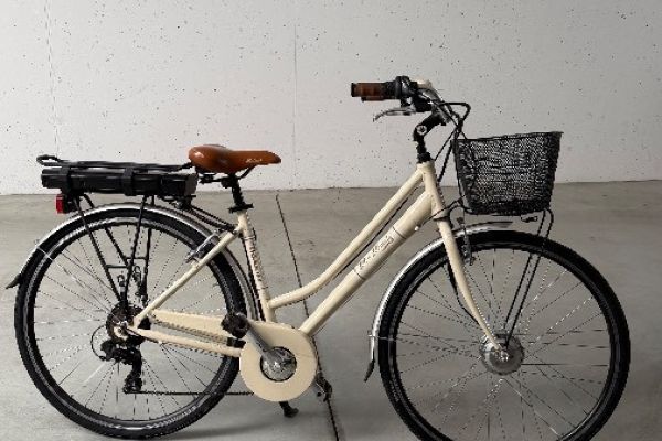 Damenfahrrad umgebaut zu E-Bike