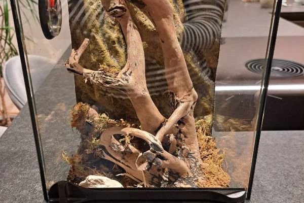 Verkaufe ein Acrylterrarium für kleine Tiere in sehr gutem Zustand