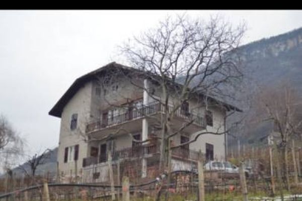Gartenzaun Larchn