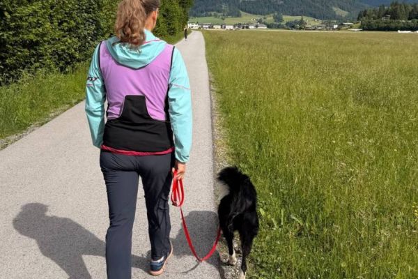 Lehrerin sucht günstige Wohnung für eine Person im Raum Lana