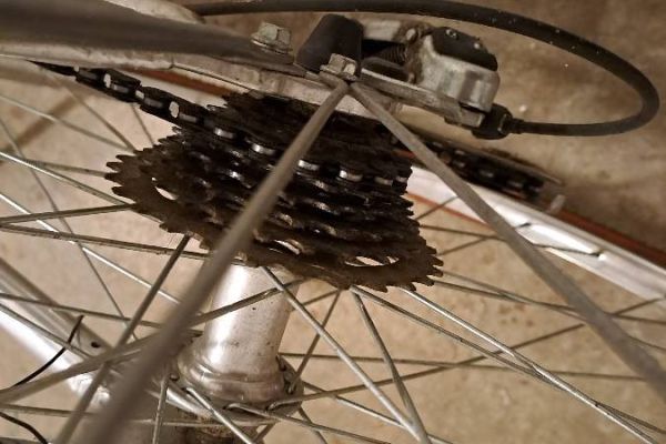 Bicicletta donna