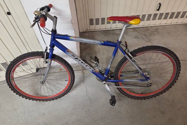 Fahrrad für Jugendliche