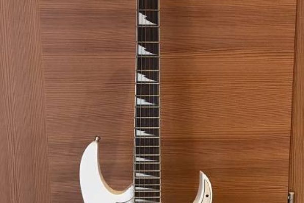 E-Gitarren Ibanez RG350DX & Epiphone SG G-400