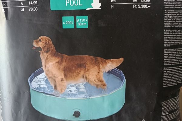 Hunde-Pool, neu