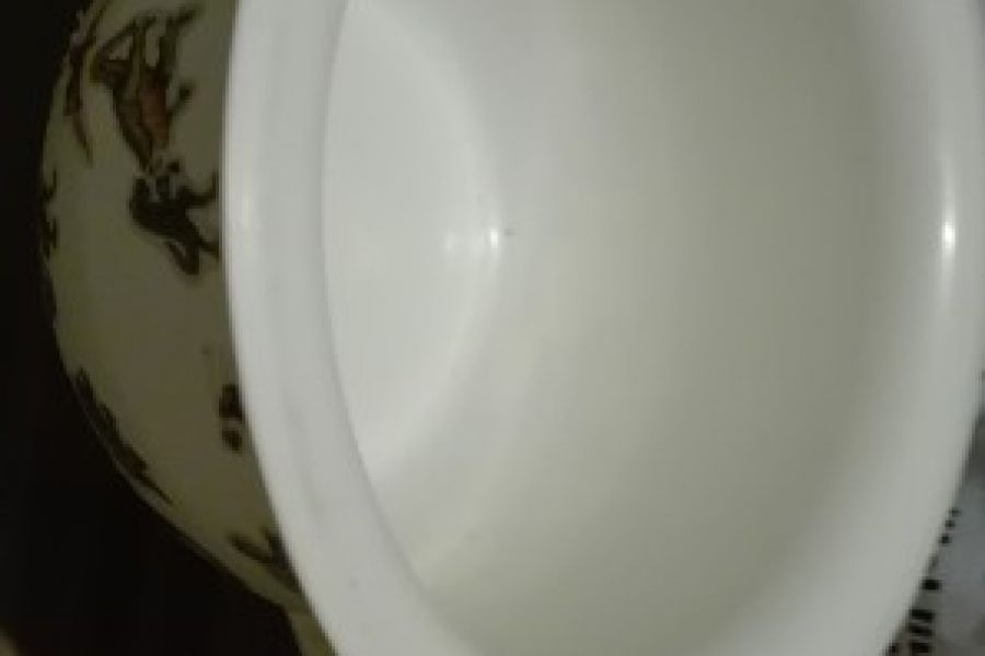 Biete Töpfchen - Bild 1