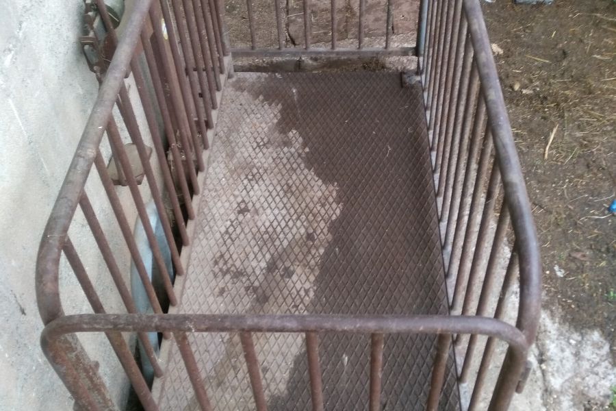Viehwaage (Schweine, Rinder...) - Bild 3