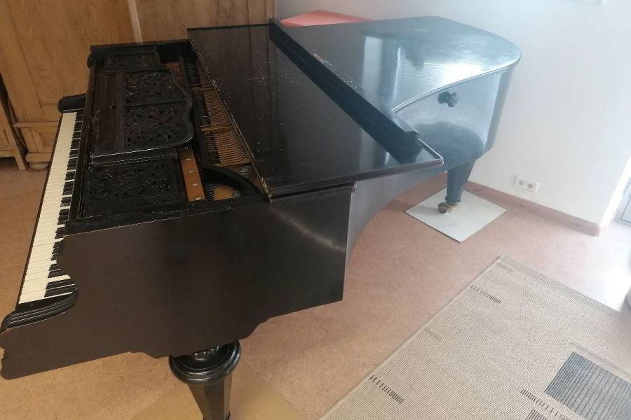 Flügel...... - Bild 2