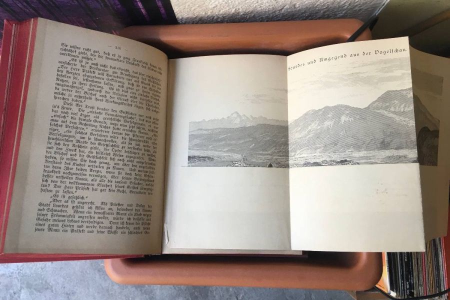 Die Wunder von Lourdes - antikes Buch 1887 - Bild 3