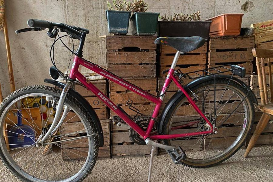 Damen Mountainbike Brixen 281713 Fahrräder & Zubehör