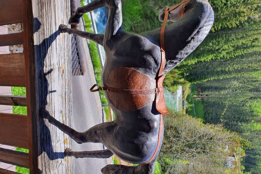 Kutsche mit Pferd - Bild 1