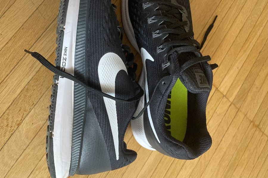 Nike Pegasus - Bild 2