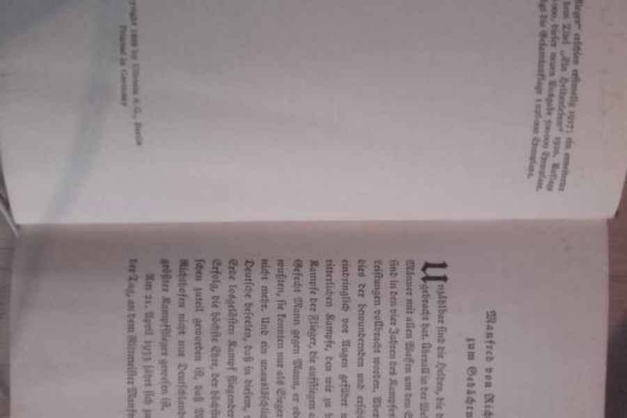 Der rote Kampfflieger - Bild 3