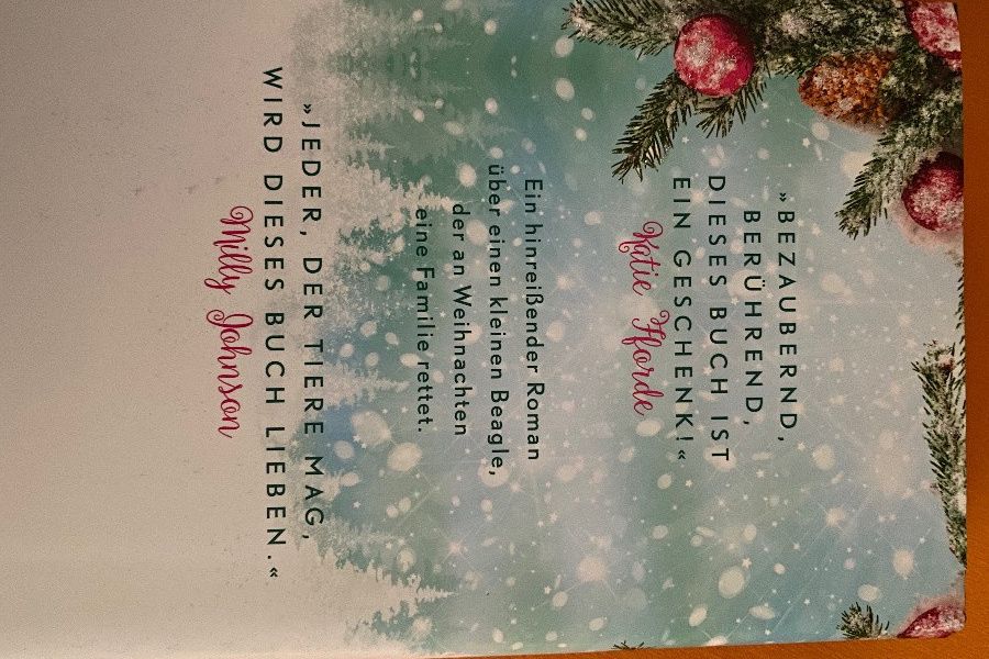 Roman - Weihnachten - Bild 2