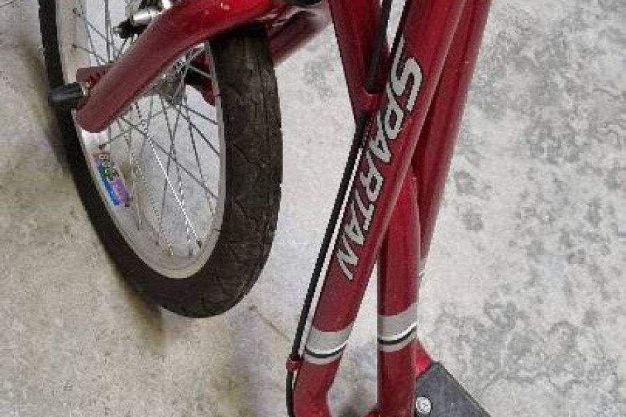 Roller mit Bremsen - Bild 3