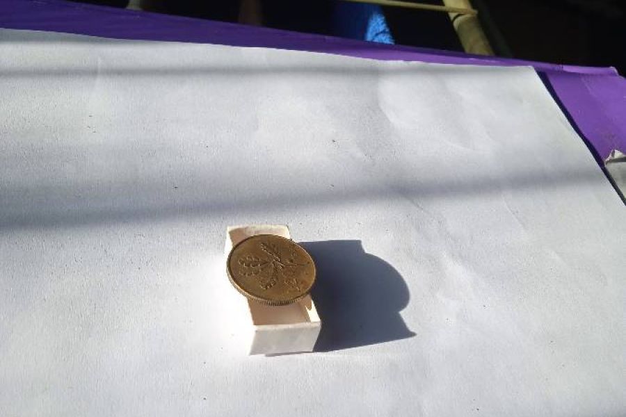 20 Lira Münze - Bild 3