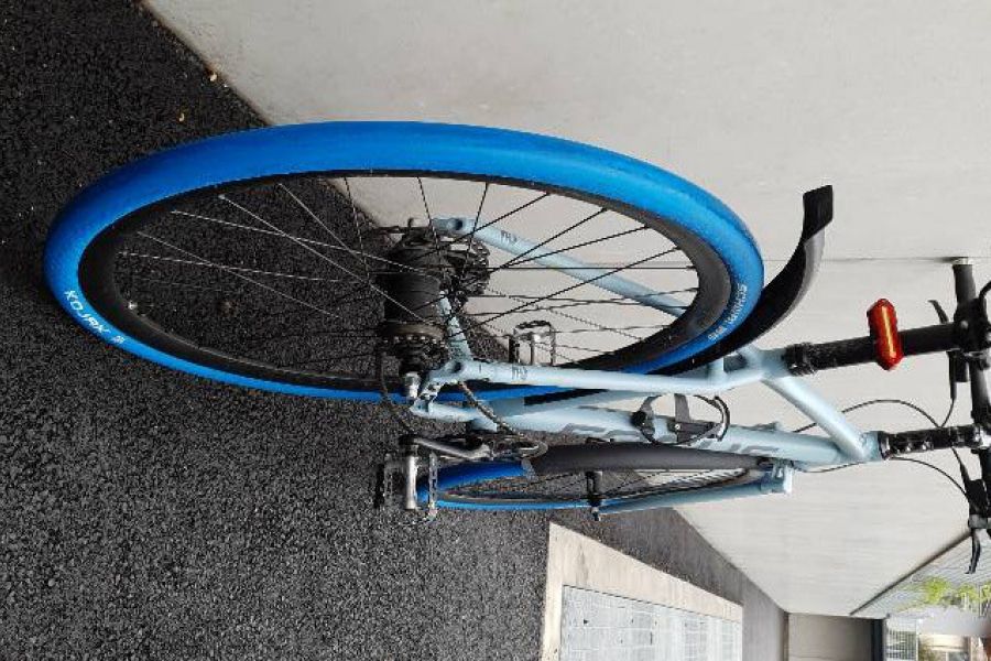 Fahrrad Focus - Bild 2