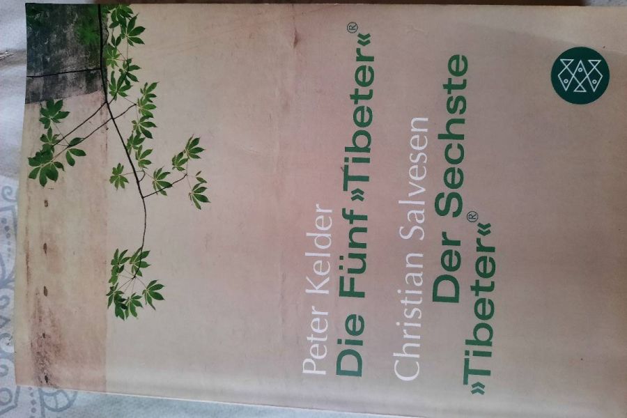 Buch: Die Fünf "Tibeter" - Bild 1