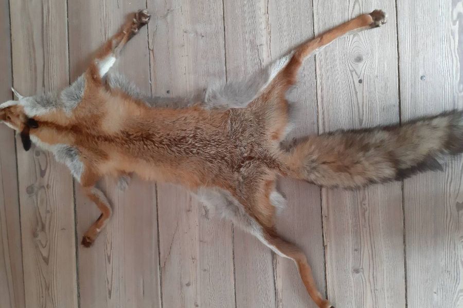 Verschiedene Fuchsfelle - Bild 1