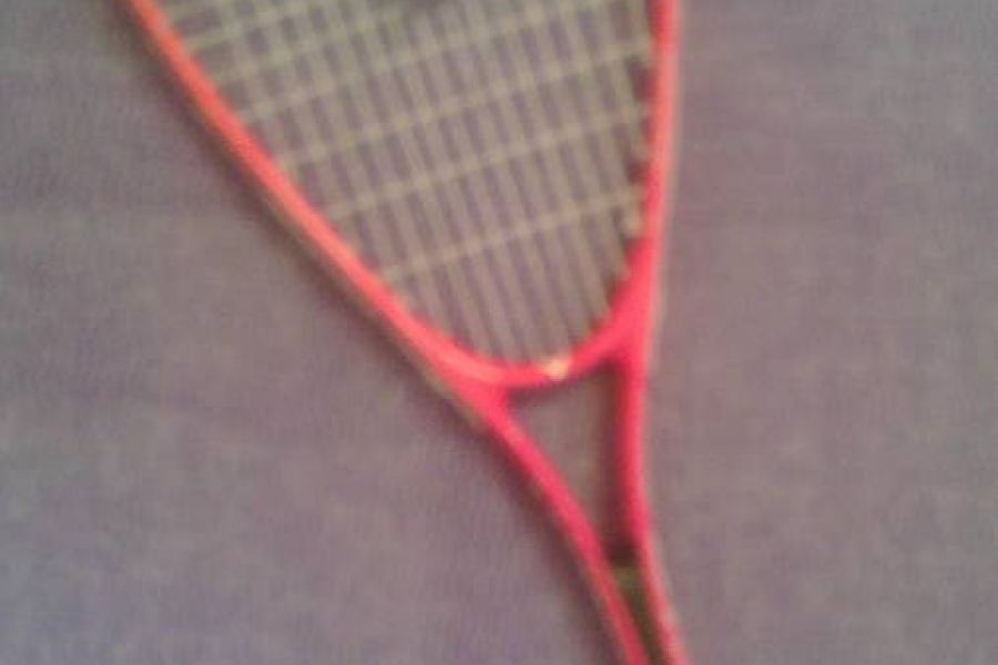 Squashpartner/in gesucht - gerne auch Anfänger - Bild 1