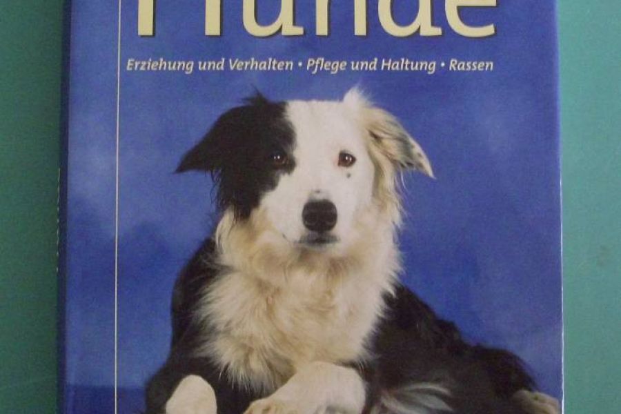 Buch zum Thema Hunde zu verkaufen - Bild 1