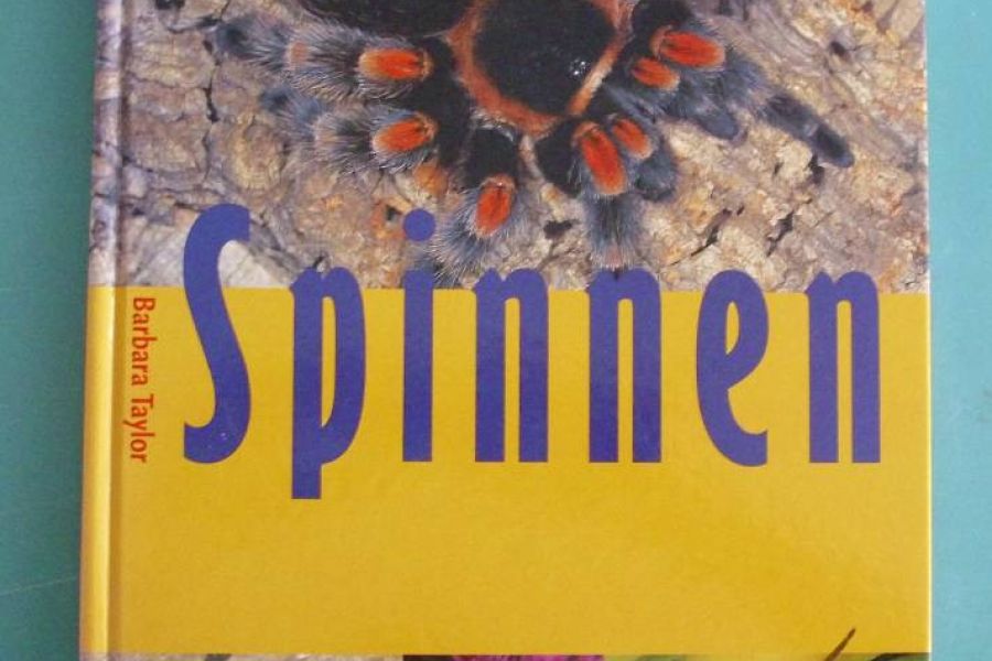 Buch über Spinnen zu verkaufen - Bild 1
