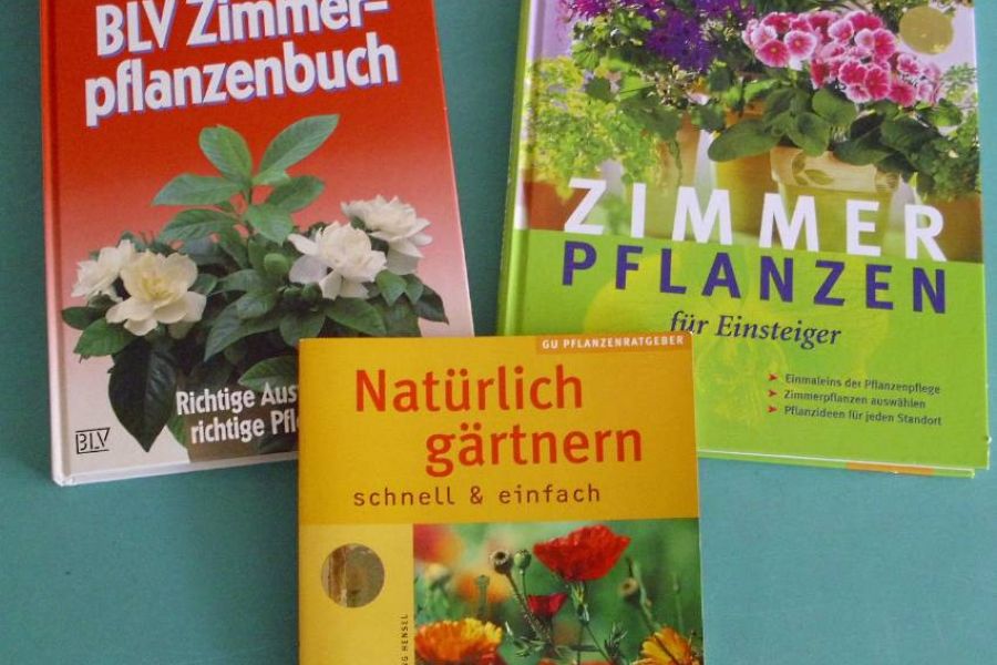 3 Bücher über Pflanzen zu verkaufen - Bild 1