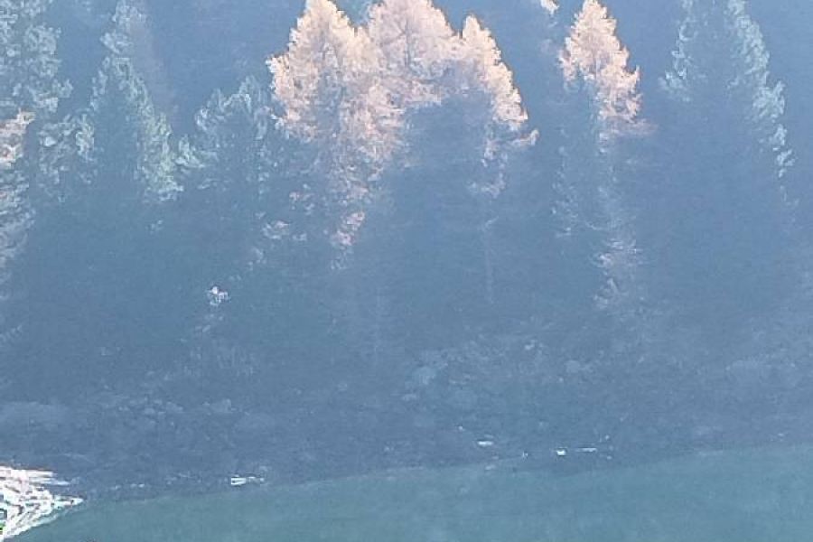 Wander / Freund/e gesucht - Bild 1