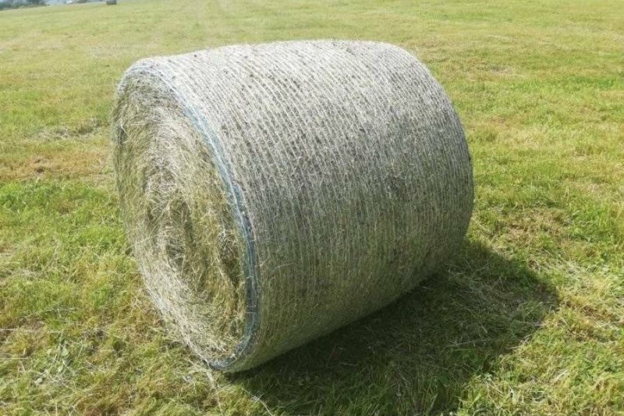 Suche Heu/Heuballen für Pferde - Bild 1