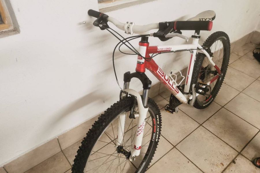 Damen Mountainbike - Bild 1