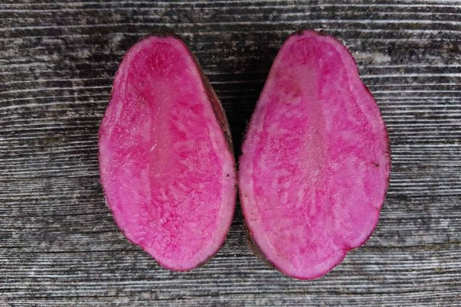 Verschiedene Kartoffelsorten und -raritäten - Bild 2