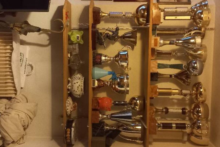 Verschiedene Pokale zu verkaufen - Bild 2