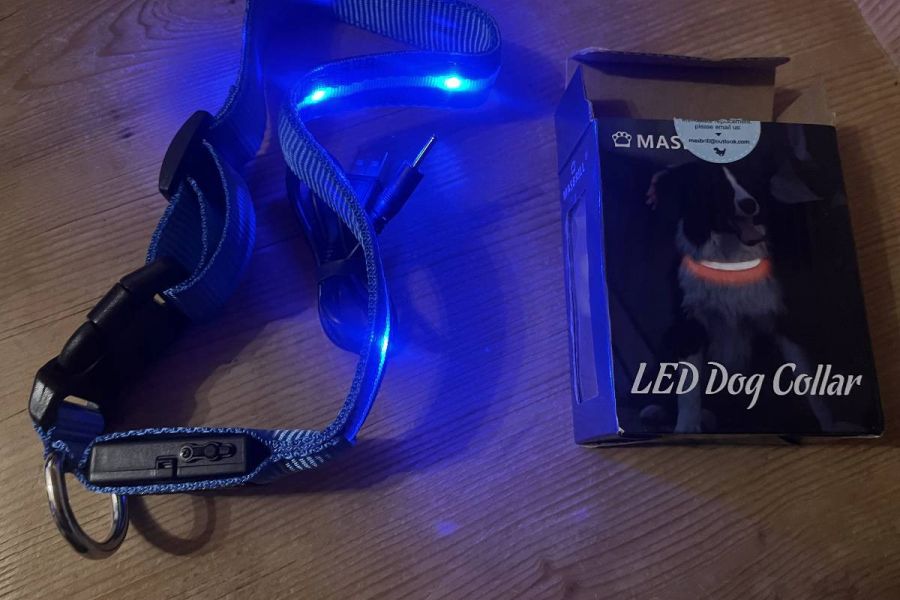 LED Halsband für Hunde aufladbar - Bild 1