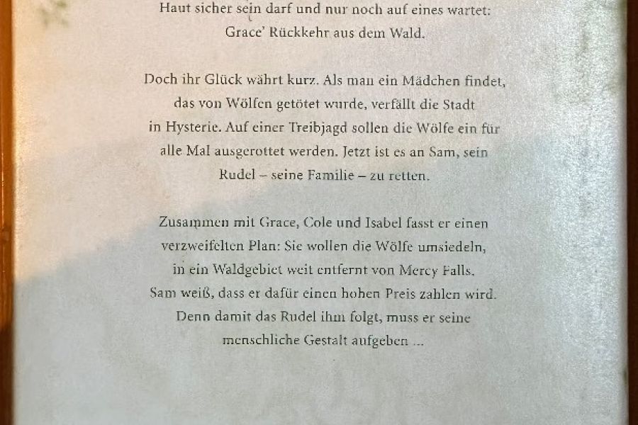 In deinen Augen - Bild 2