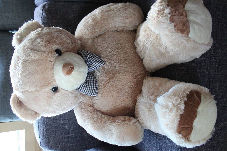 Riesen- Teddybär - Bild 1
